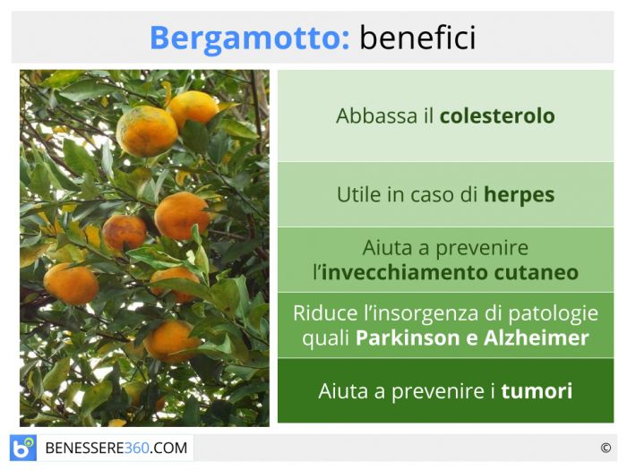 Bergamota: benefícios, utilizações e contra-indicações