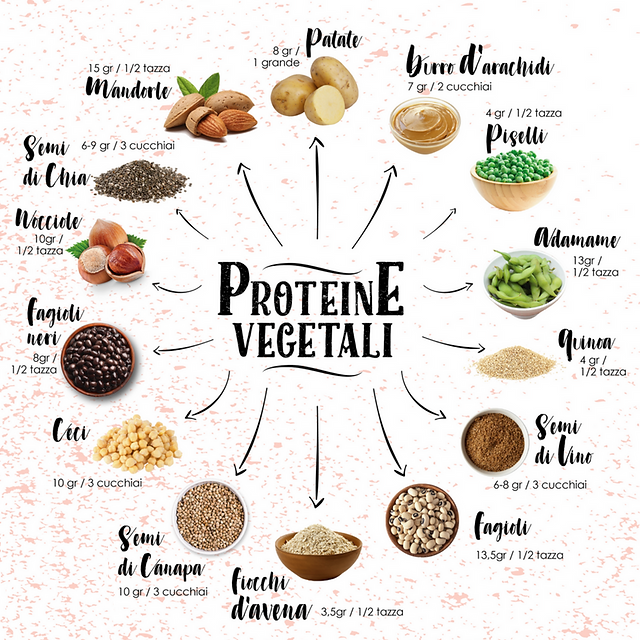Proteínas vegetais: os alimentos que as têm em maior quantidade