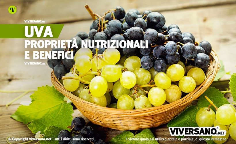 Uvas: benefícios, propriedades e utilizações na culinária